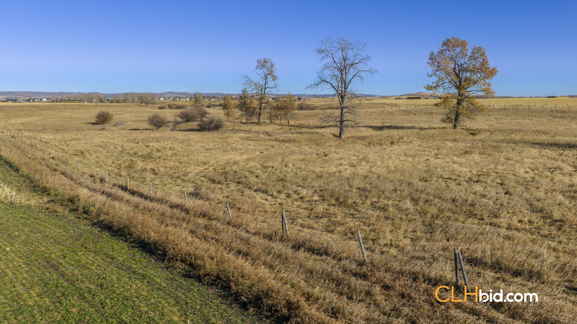 Web-Foothills-20