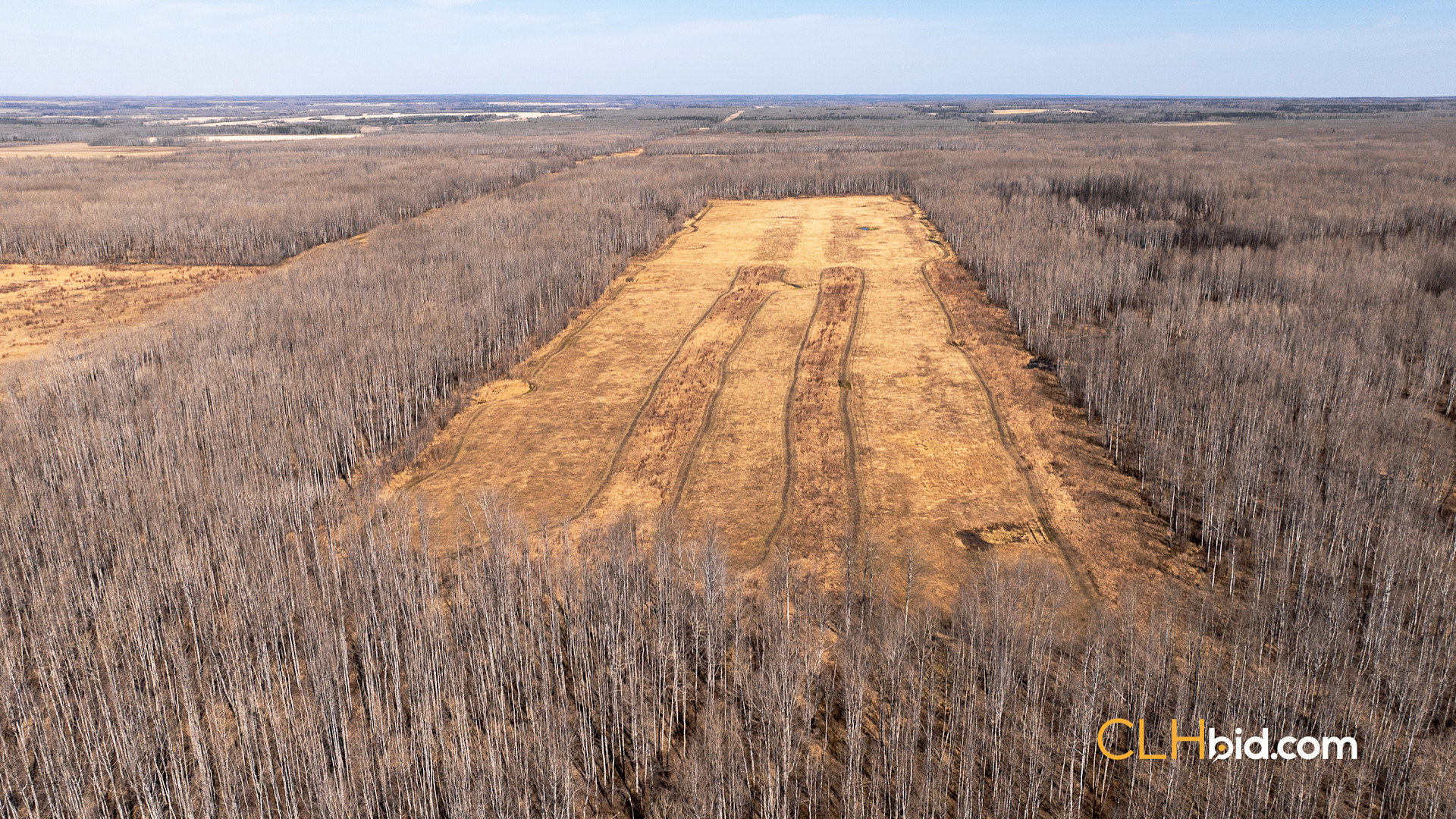 Web Sunrise Igniter Spring-1