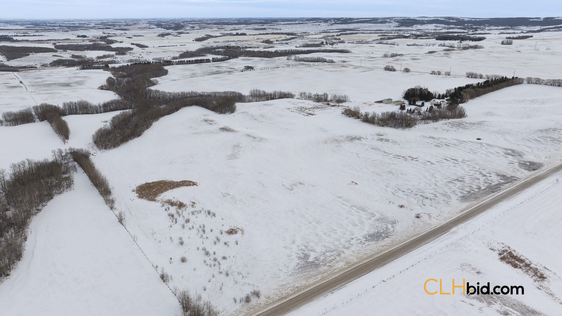 EliteStatus3-Web169-1