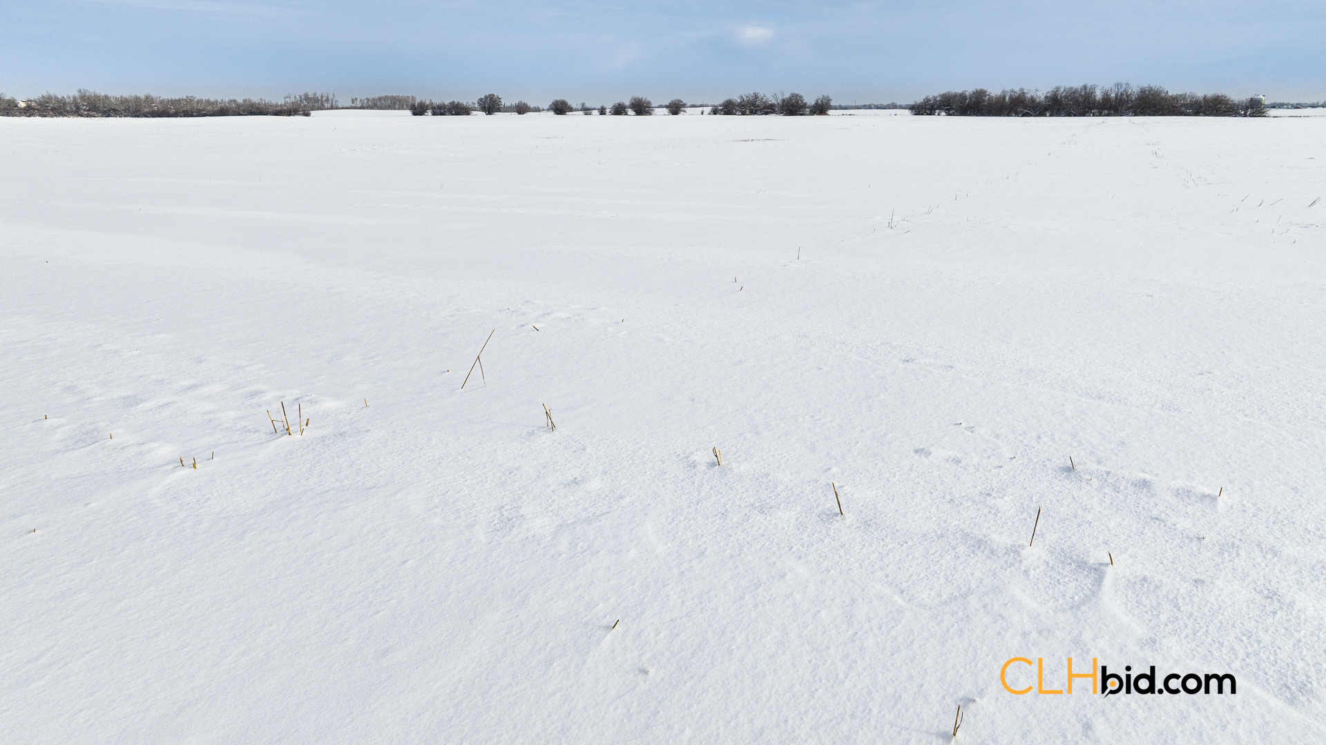 Web-TerminalReturns-3