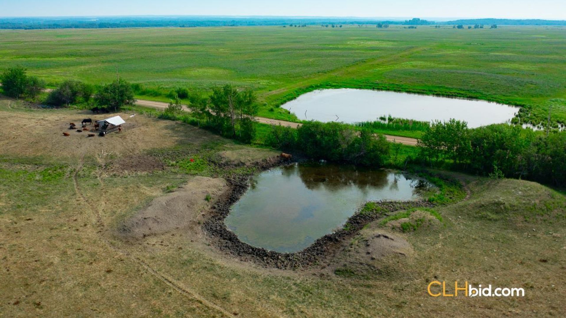 cattledrivecountry-3-4