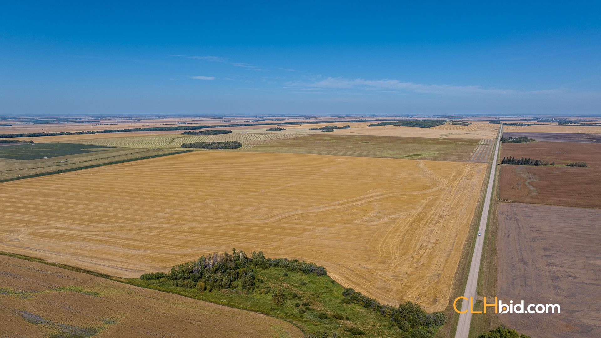 Web-Tisdale-Titan-17