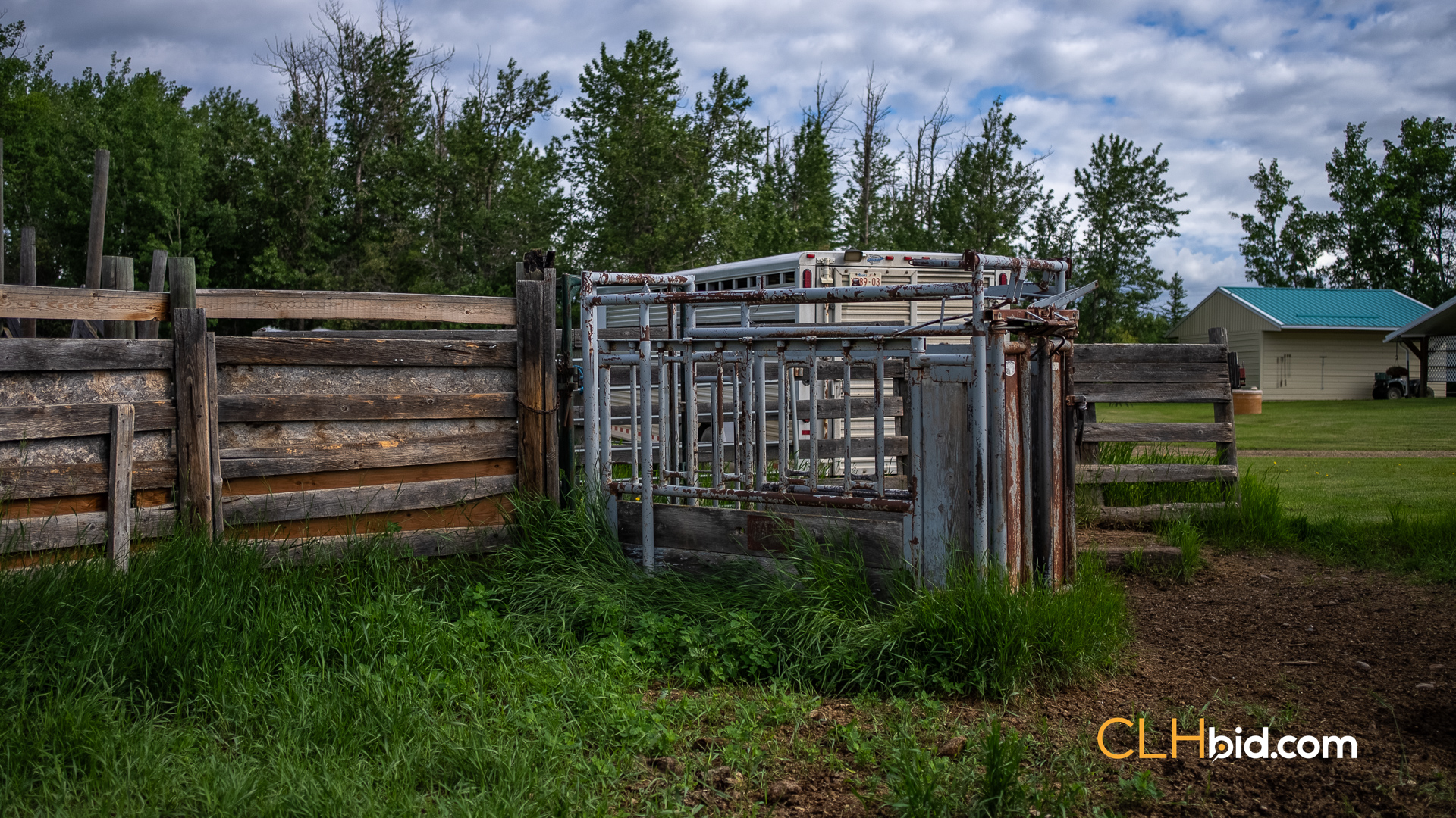 Web The Cattle Crossing-37