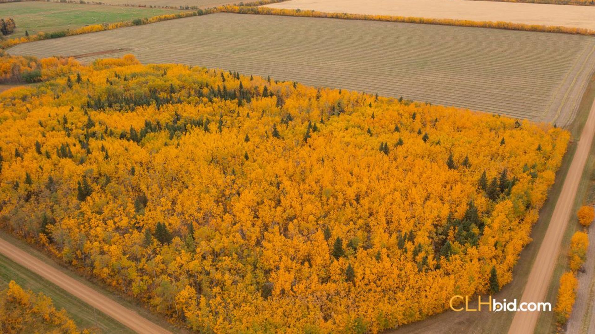 thevilnaheritagefarm-1-6