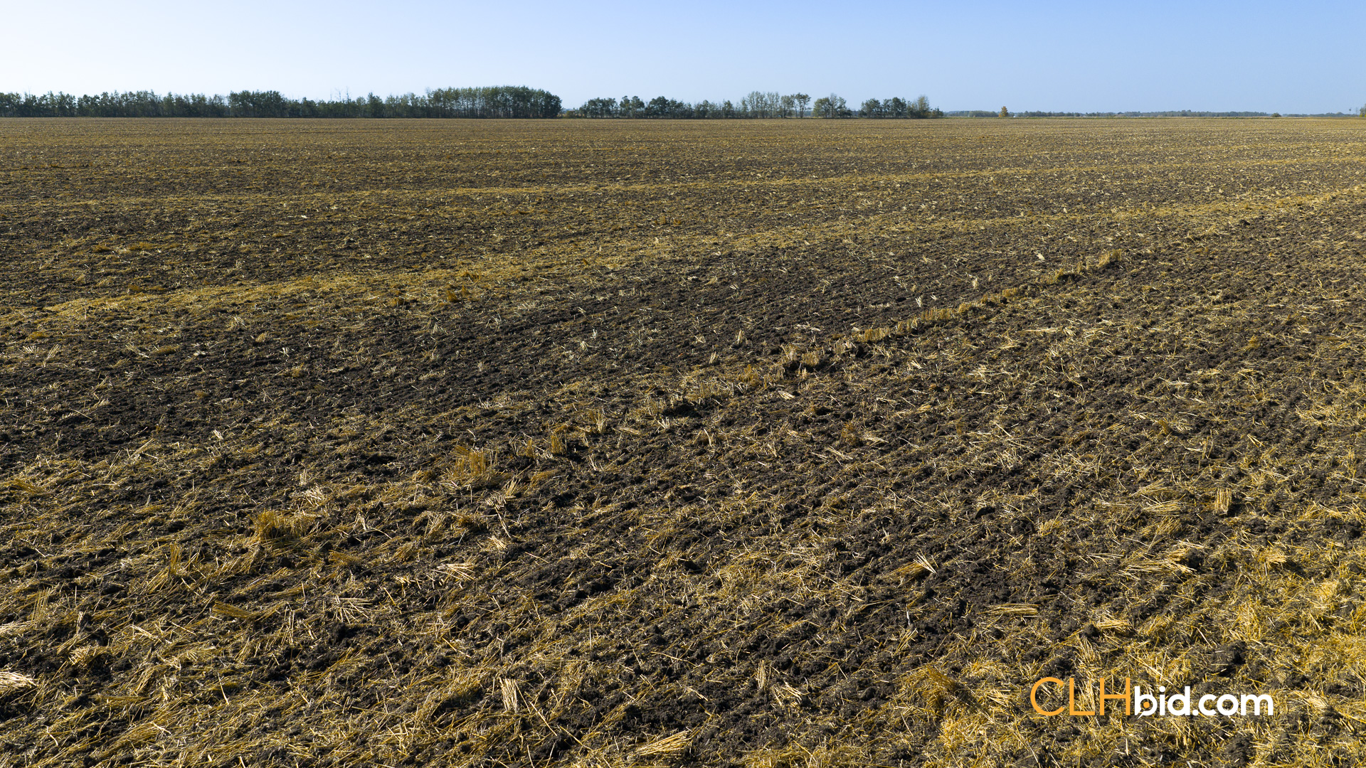 Web-WestlockUnlocked-7