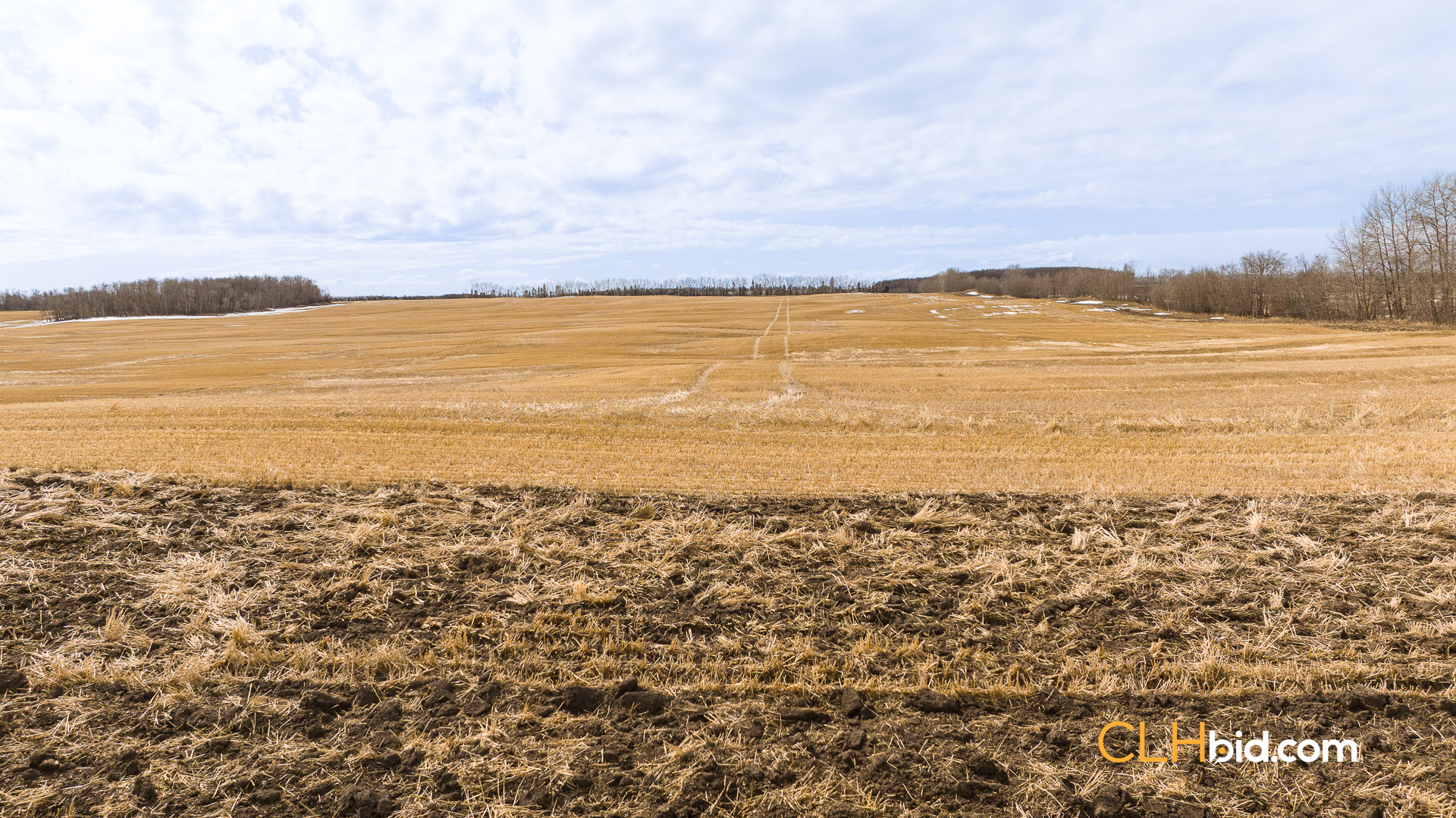 Web-BentleyRoyalty-11