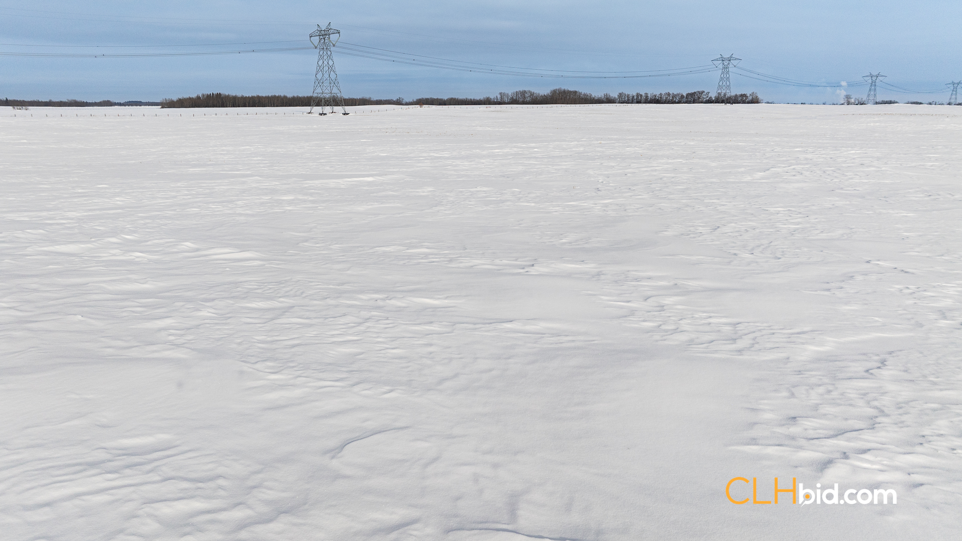 Web-LamontTopGrade-33