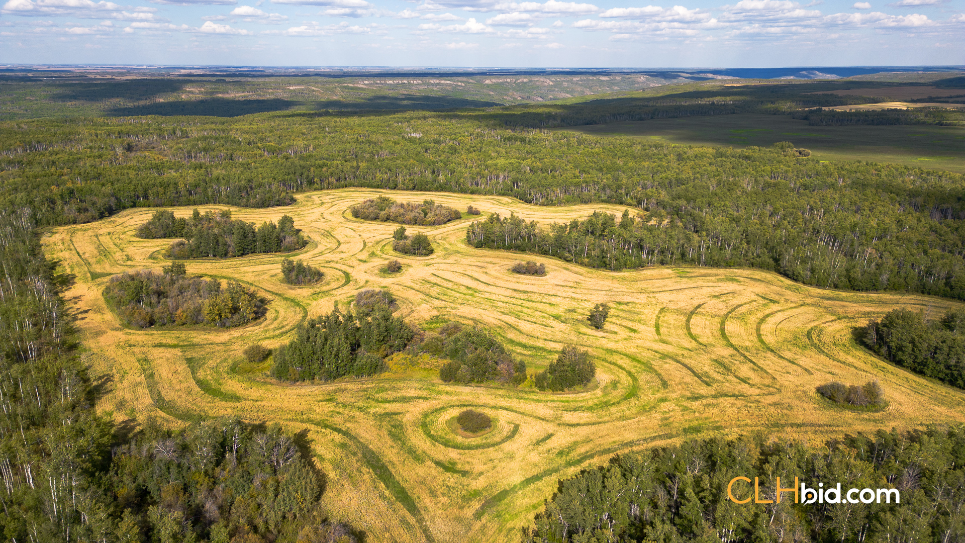 Web Wanham Expander-5