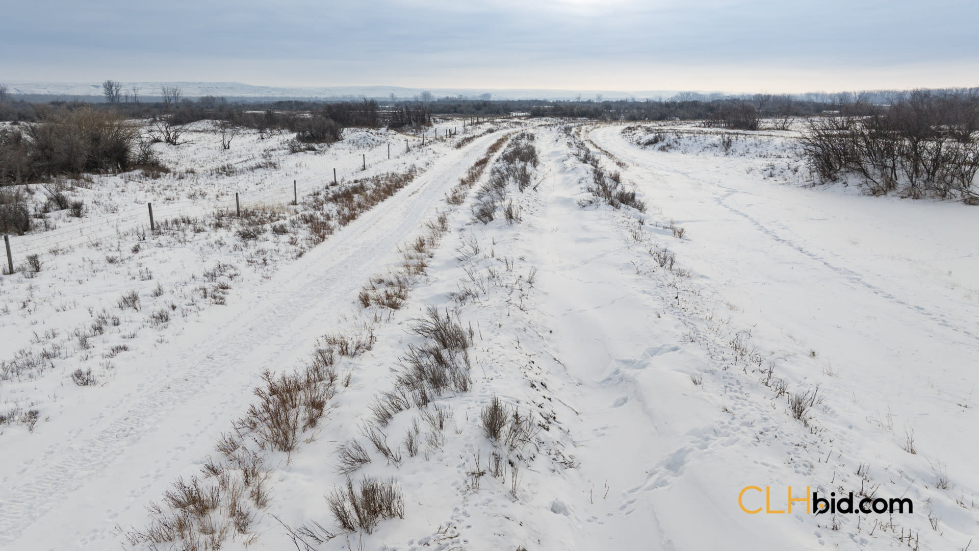 P1 Web169-AcresOfPedigree-65