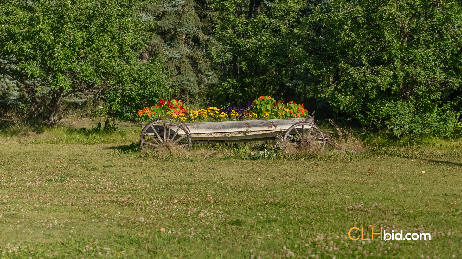 Web Rustlers Roost-19