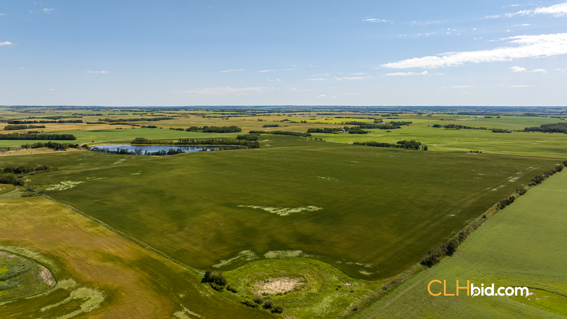 Web-Two-Hills-Next-Level-UPDATED-2