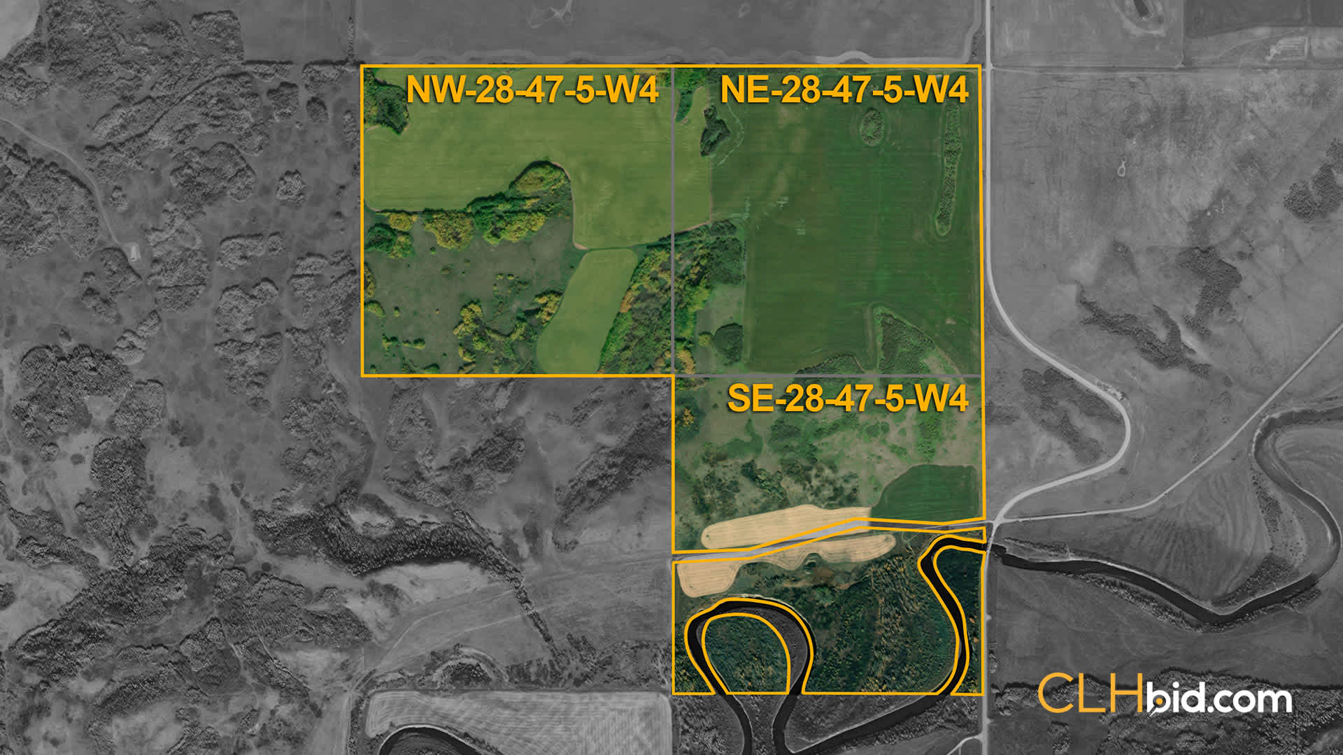NELSON---OVERVIEW