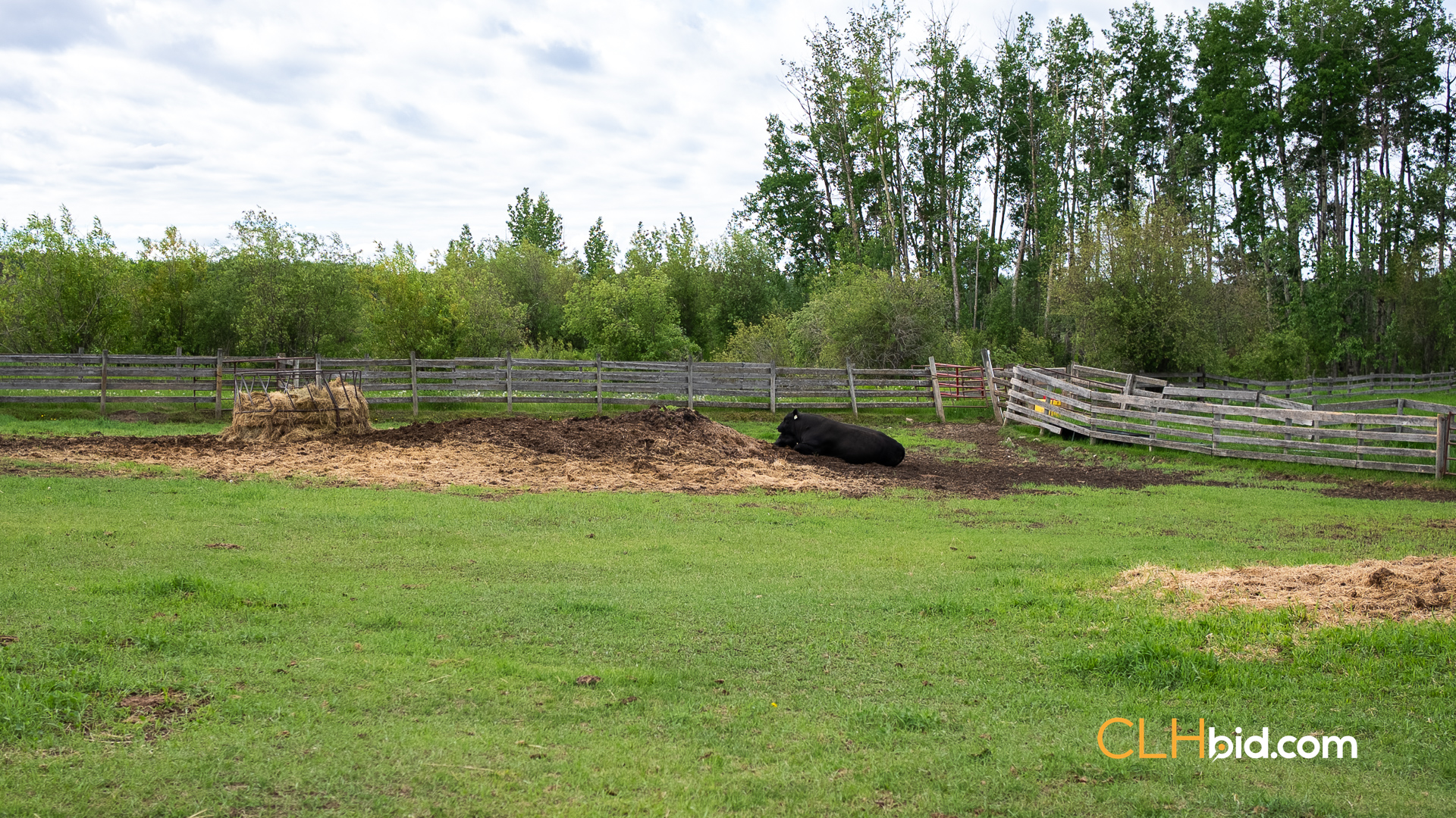 Web The Cattle Crossing-53