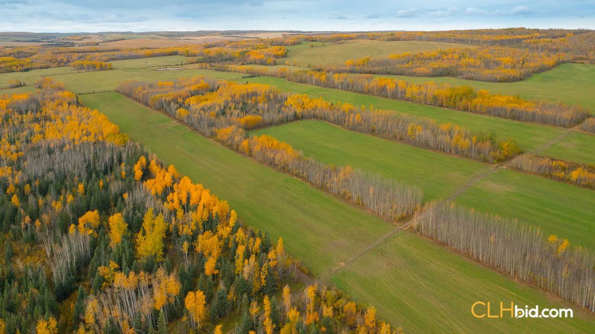 View from above of The Ranch on Braden Road