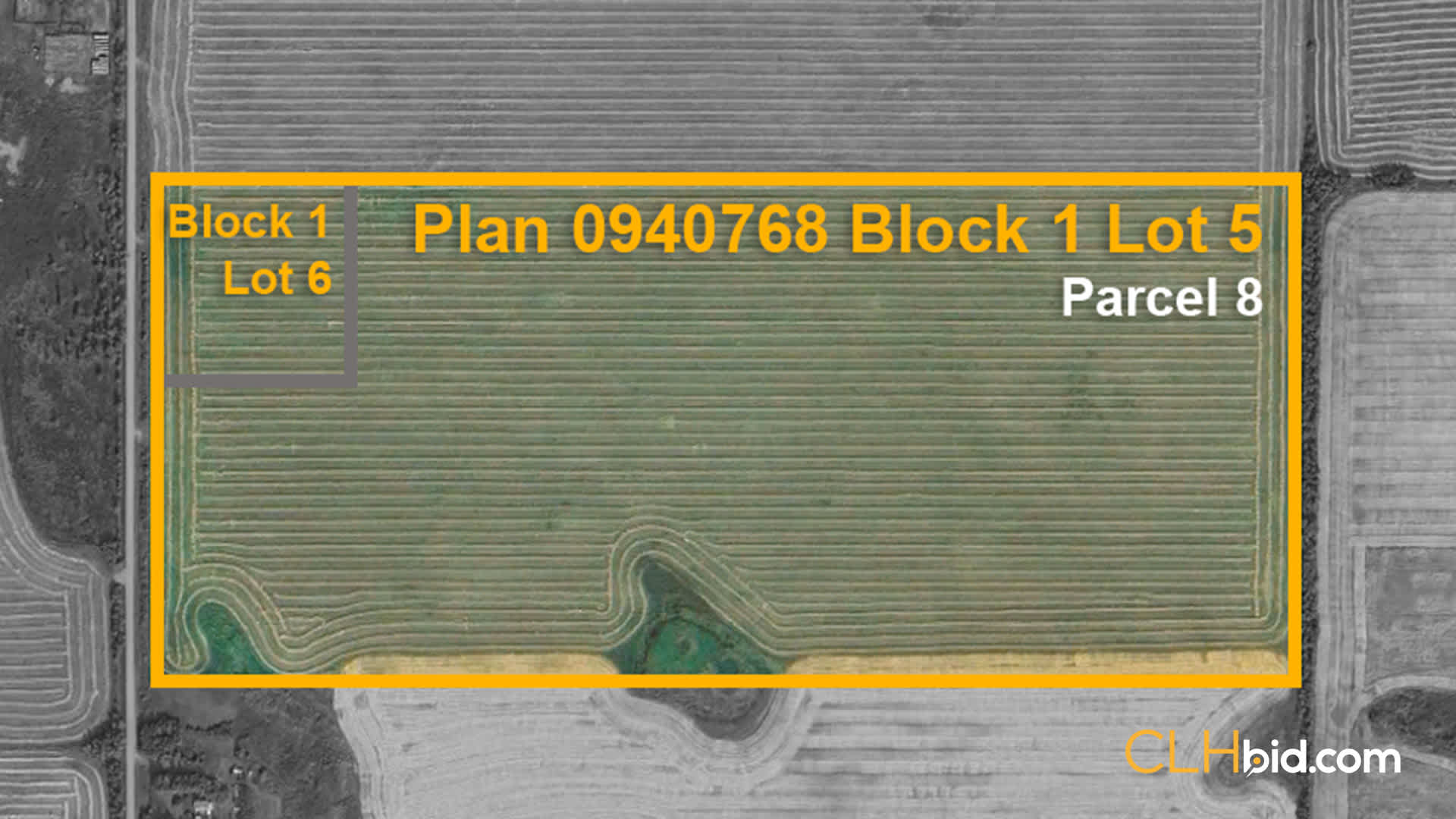 P8-Lamont-Top-Grade