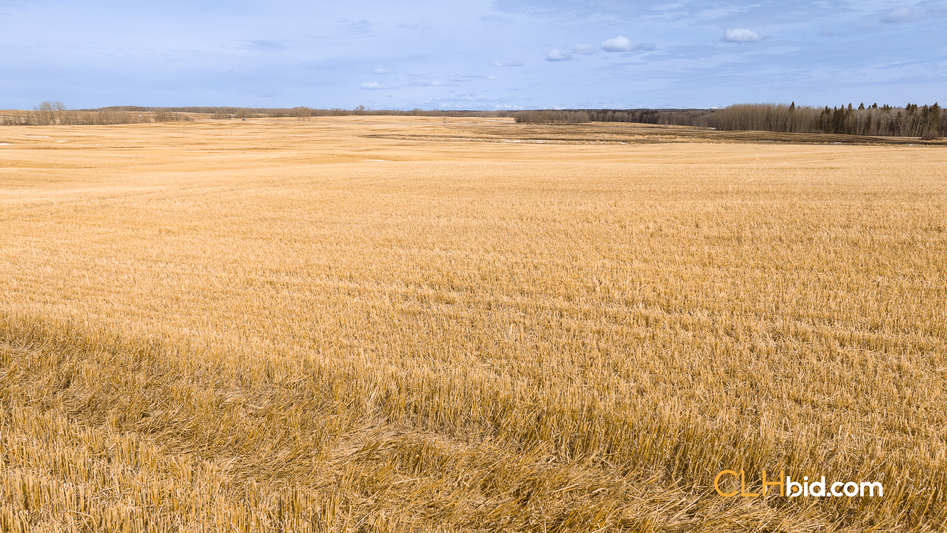 Web-BentleyRoyalty-5