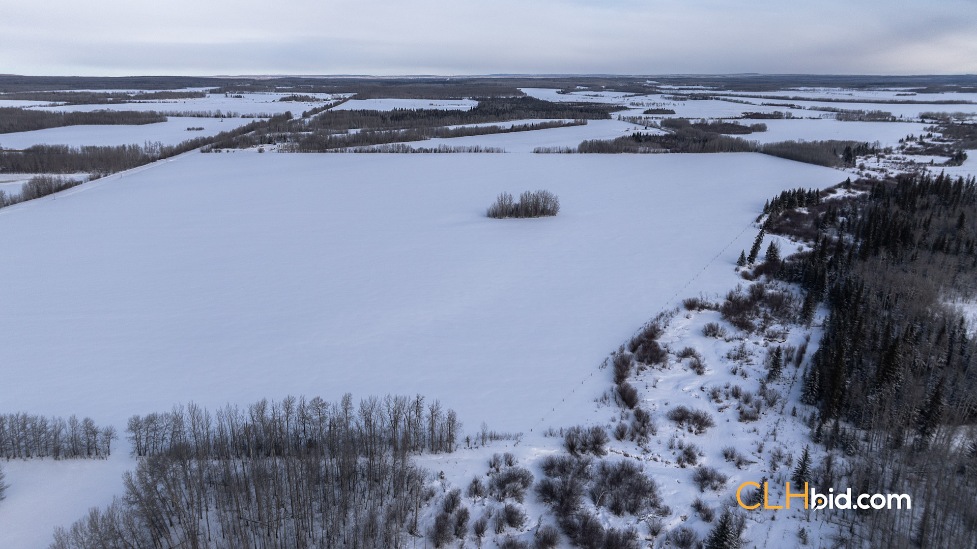 Web Unrestrained Funky-7