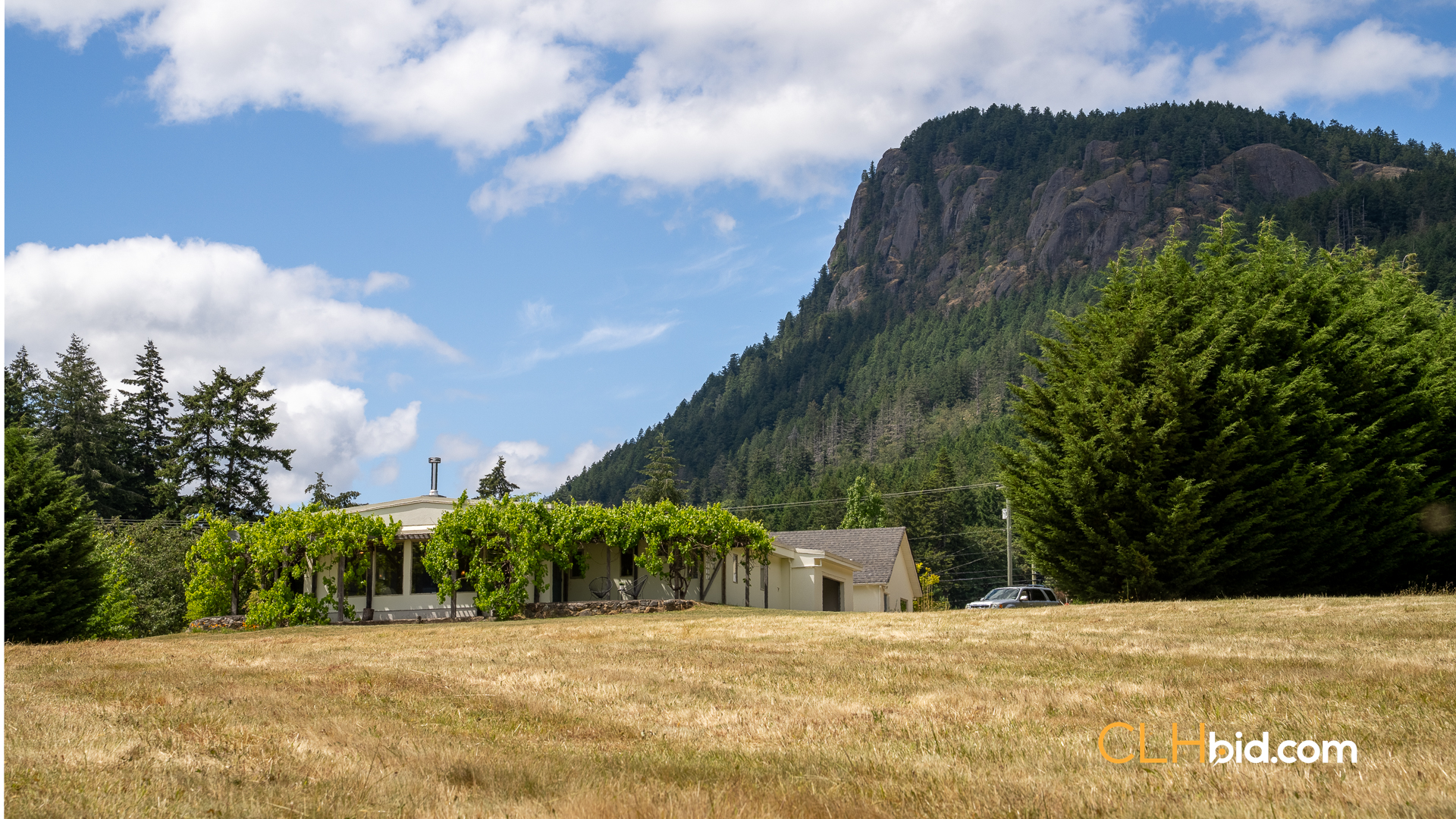 Web-OliveFarmNew-37