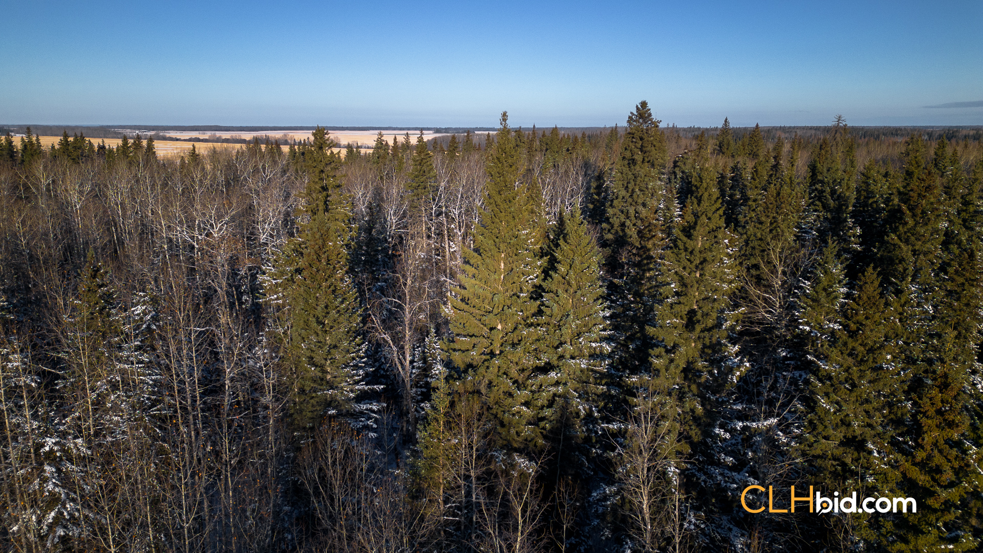 Web South Fork Nampa-2