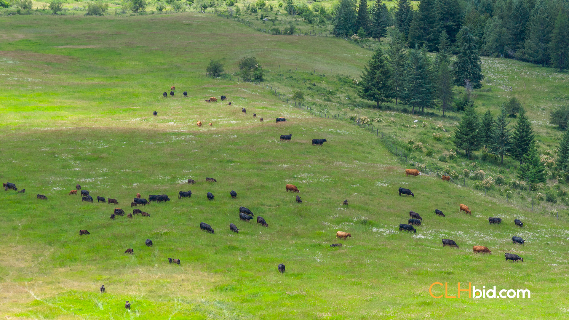 Web-FarmLife-21