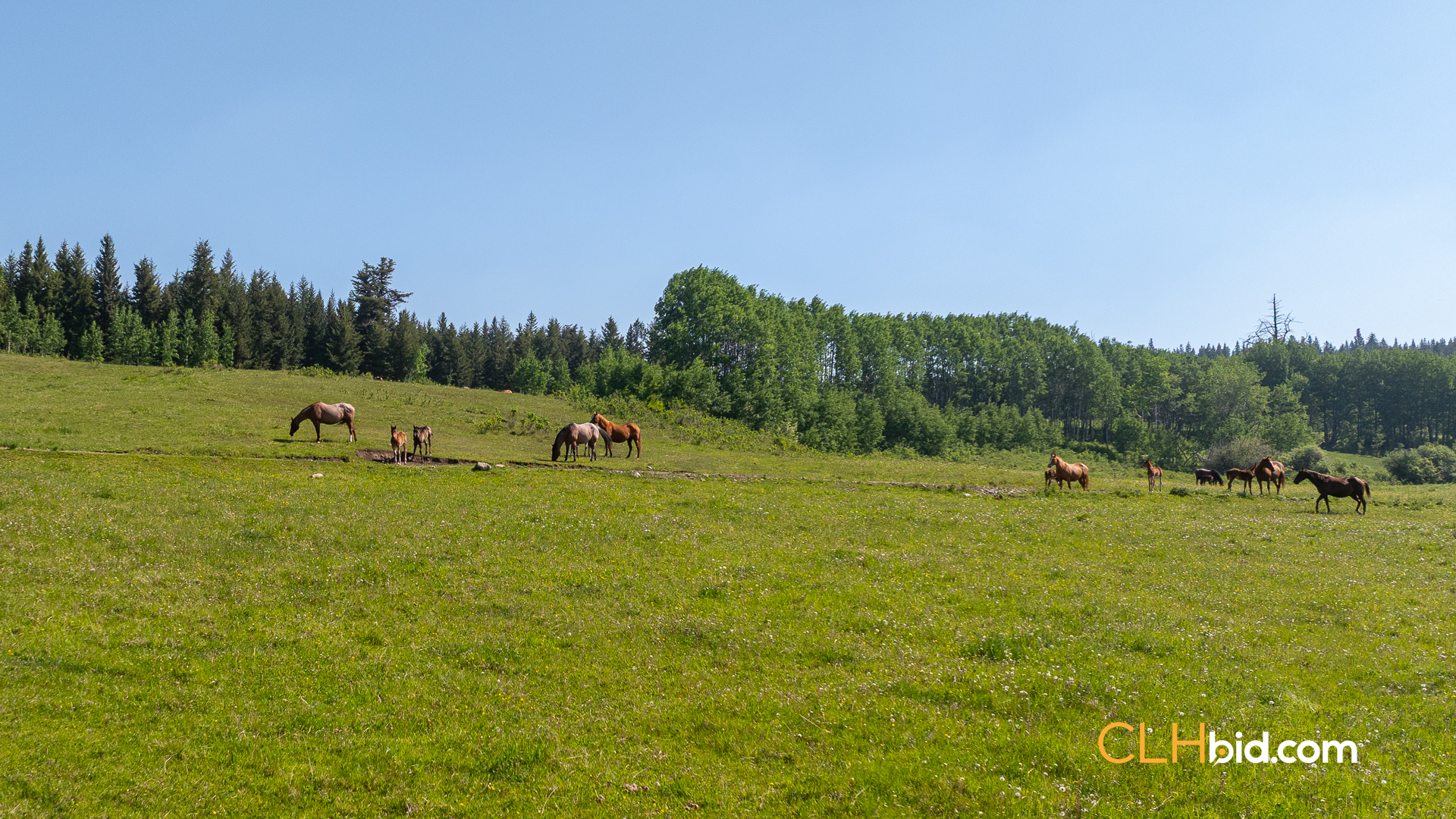 Web-CrystalWatersRanch-4