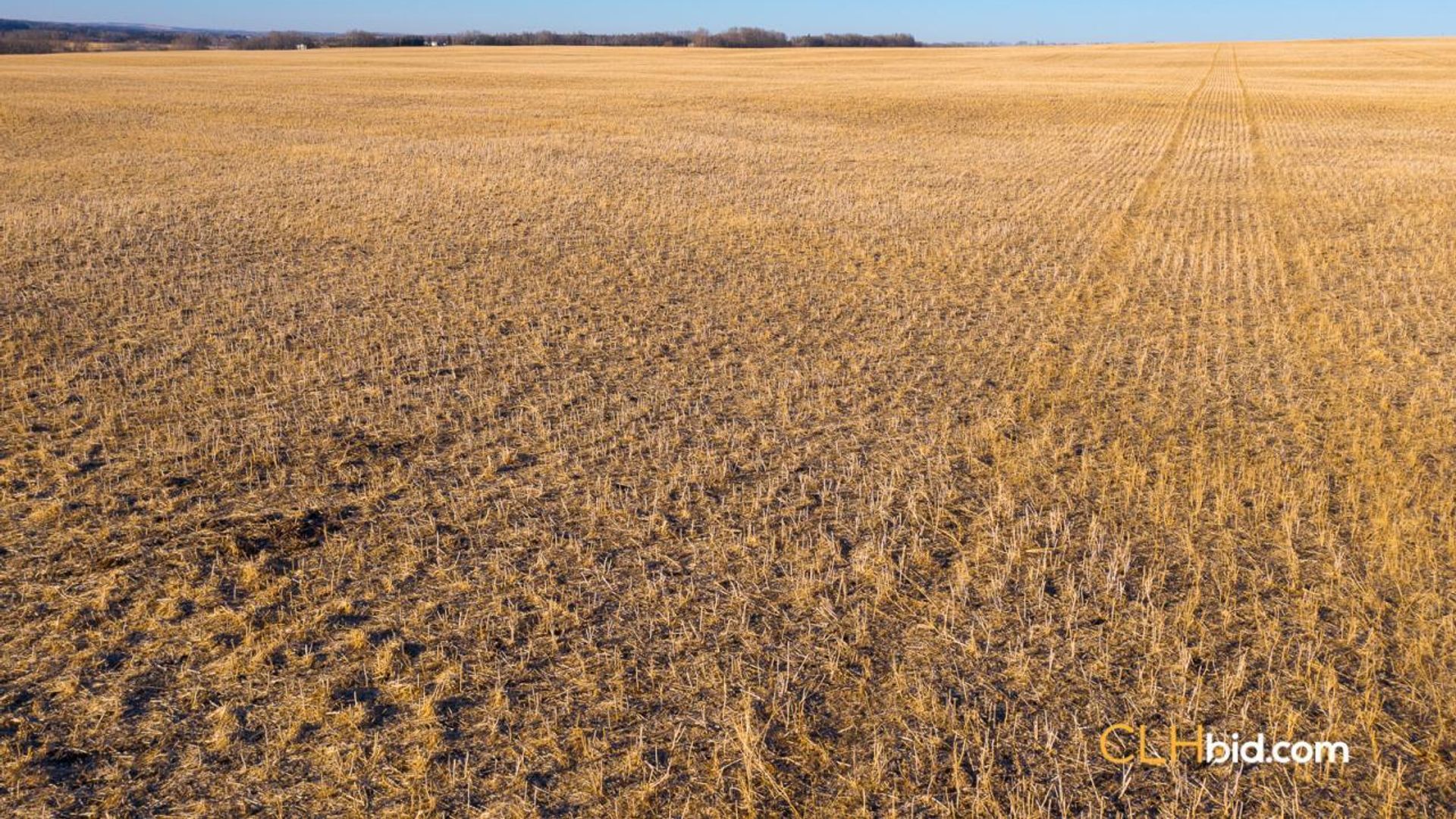 bentleycontinentalv8-4-3