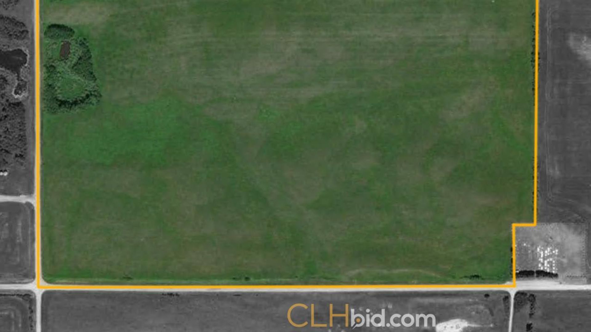 vermilionunbridled-1-7