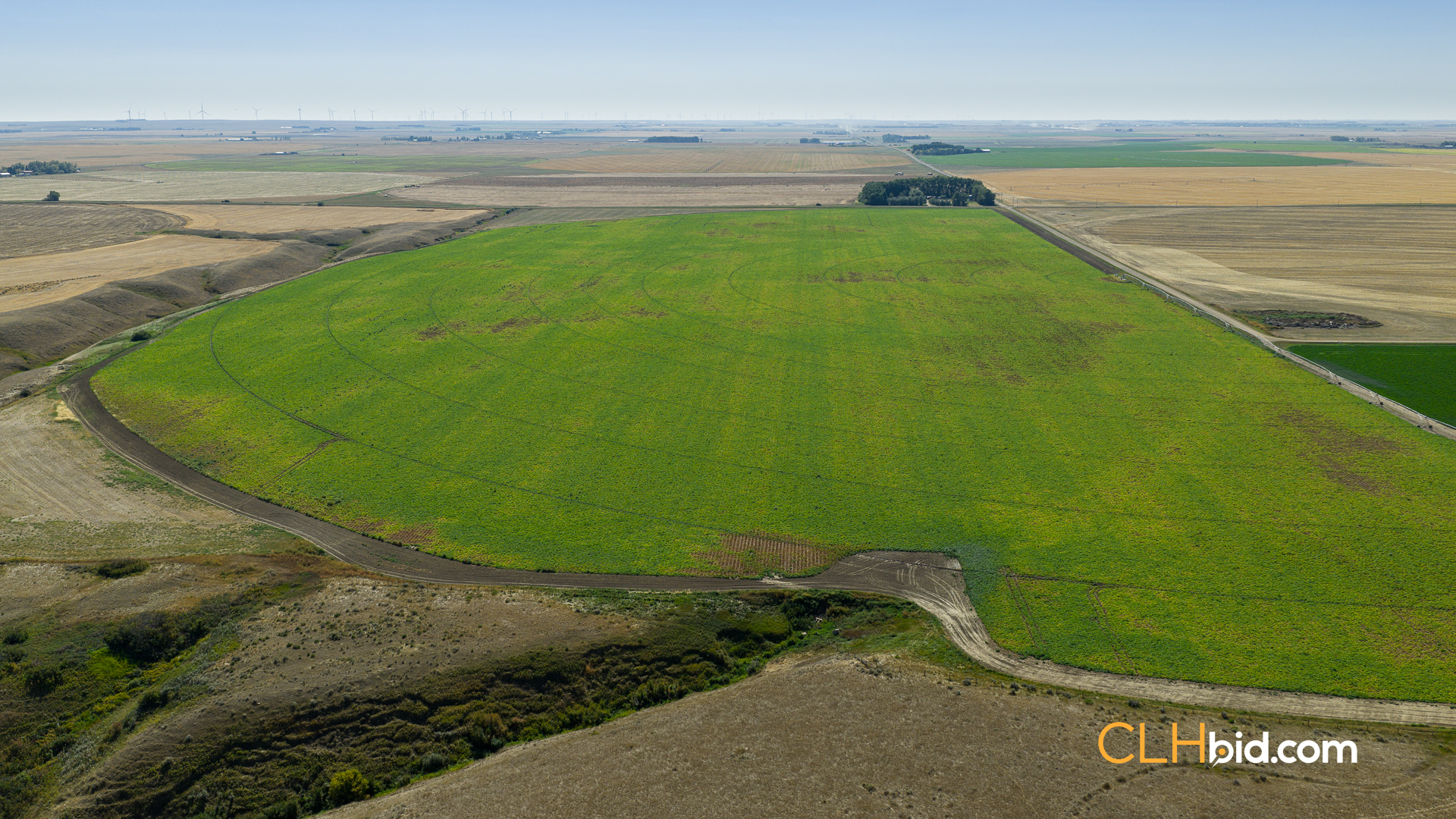 Web-MegaFortyMile-25