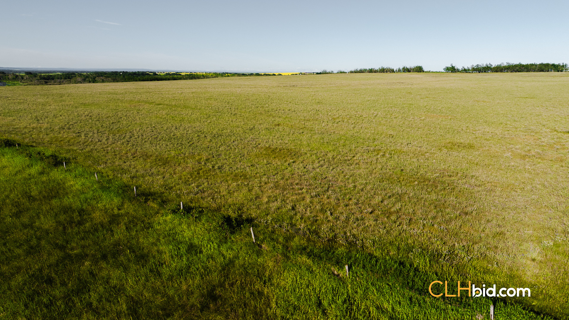 Web Rare Opportunity Dimsdale-4