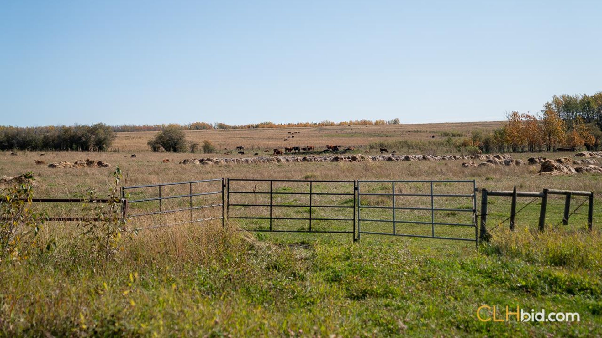 highpointunlimited-2-9