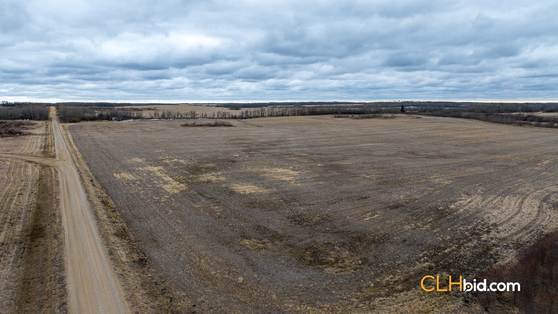 Web-Star-City-Rockstar-22