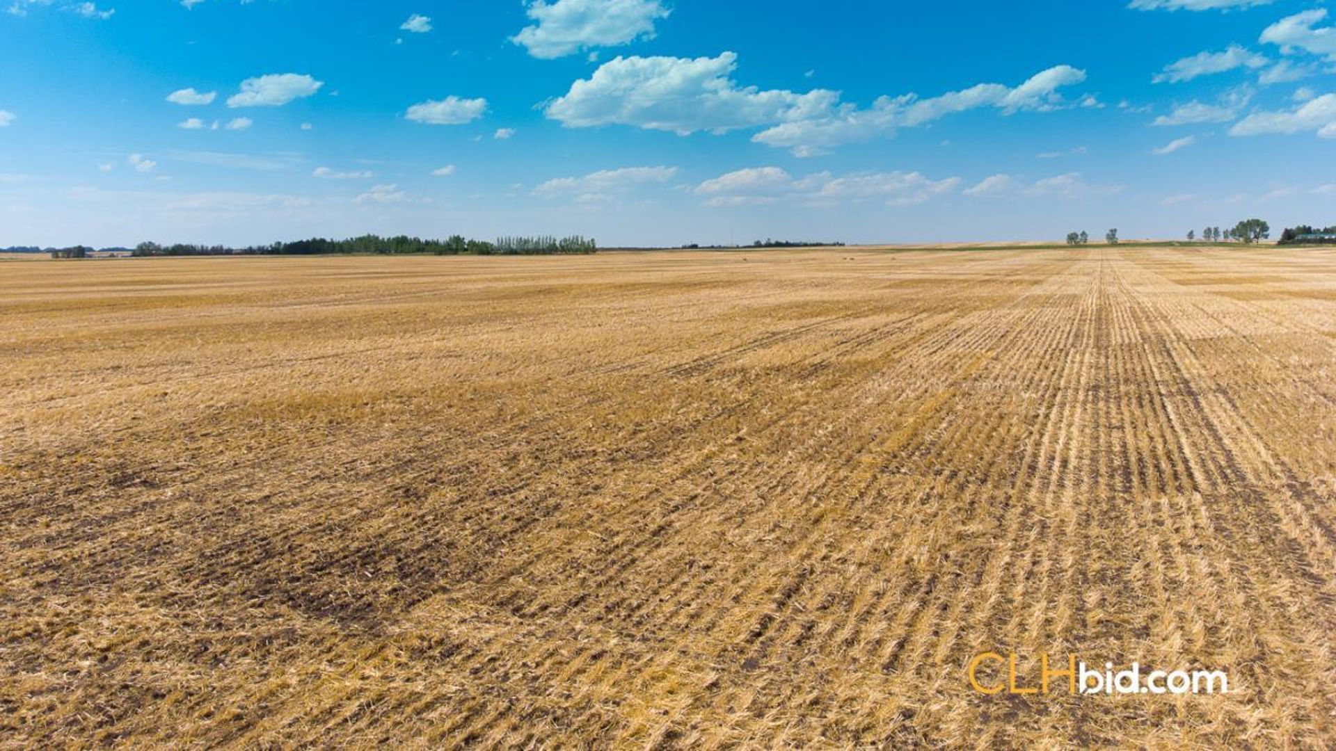 hartelllandrodeodrive-1-10