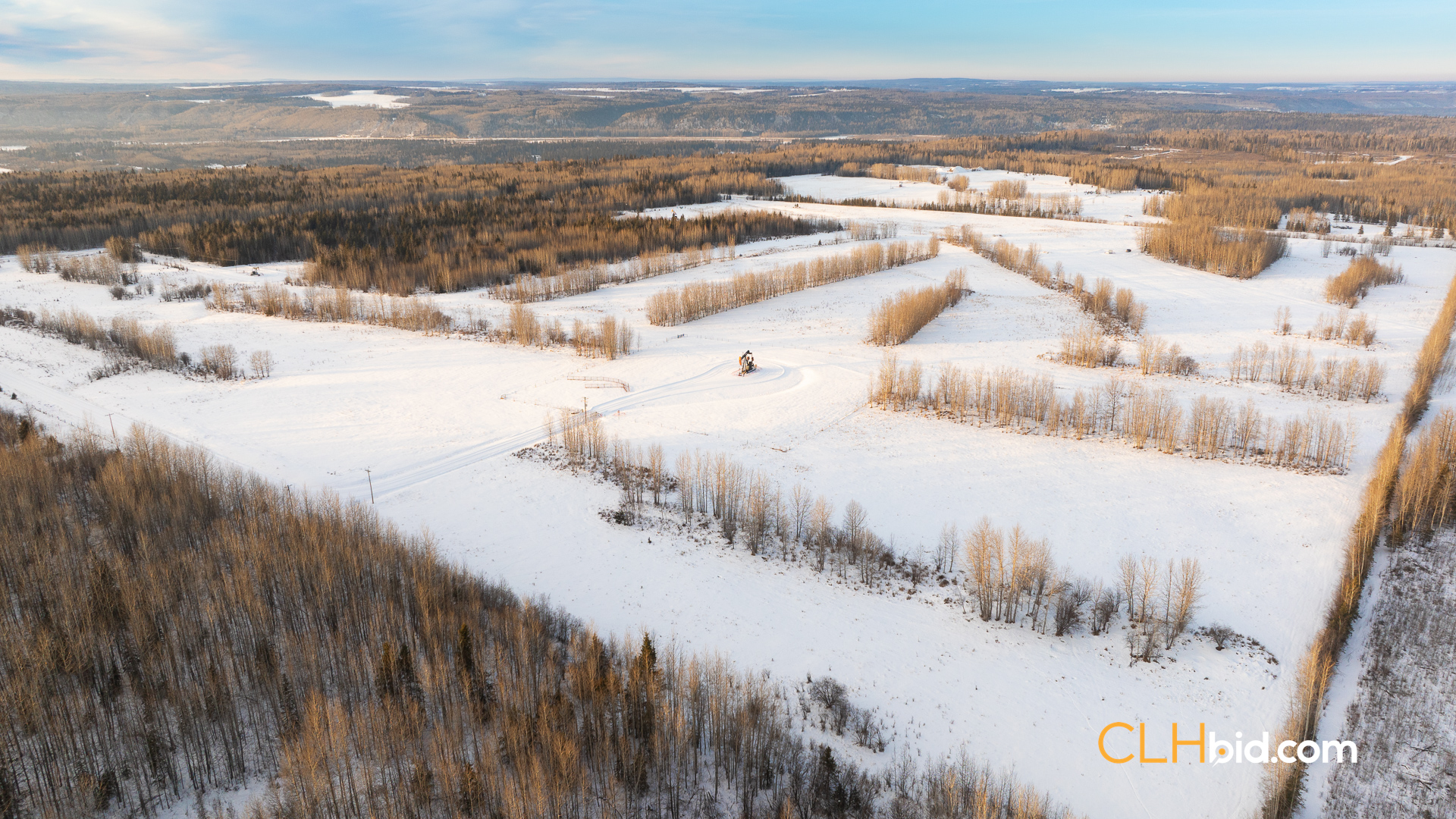 Web169-AcresOfPedigree-2