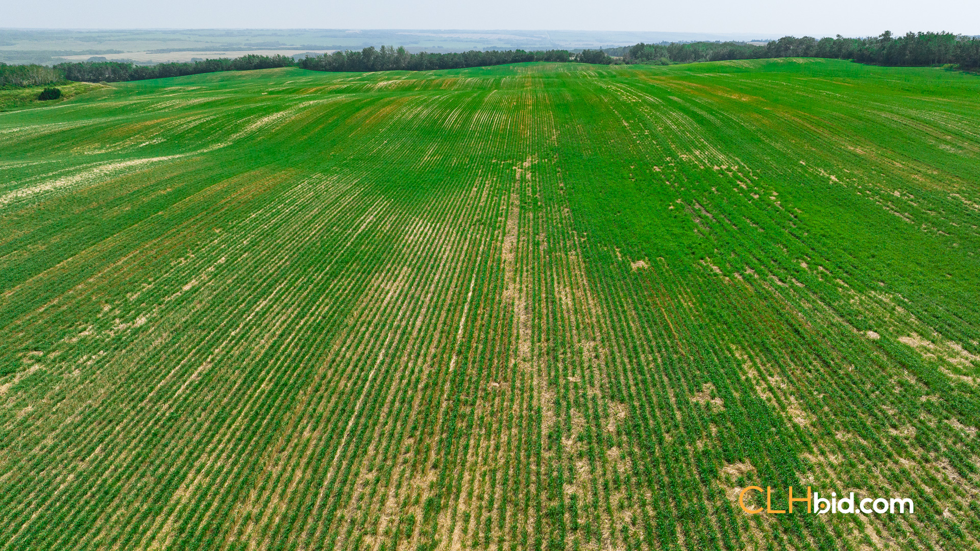 Web-Innisfree8Summer-57