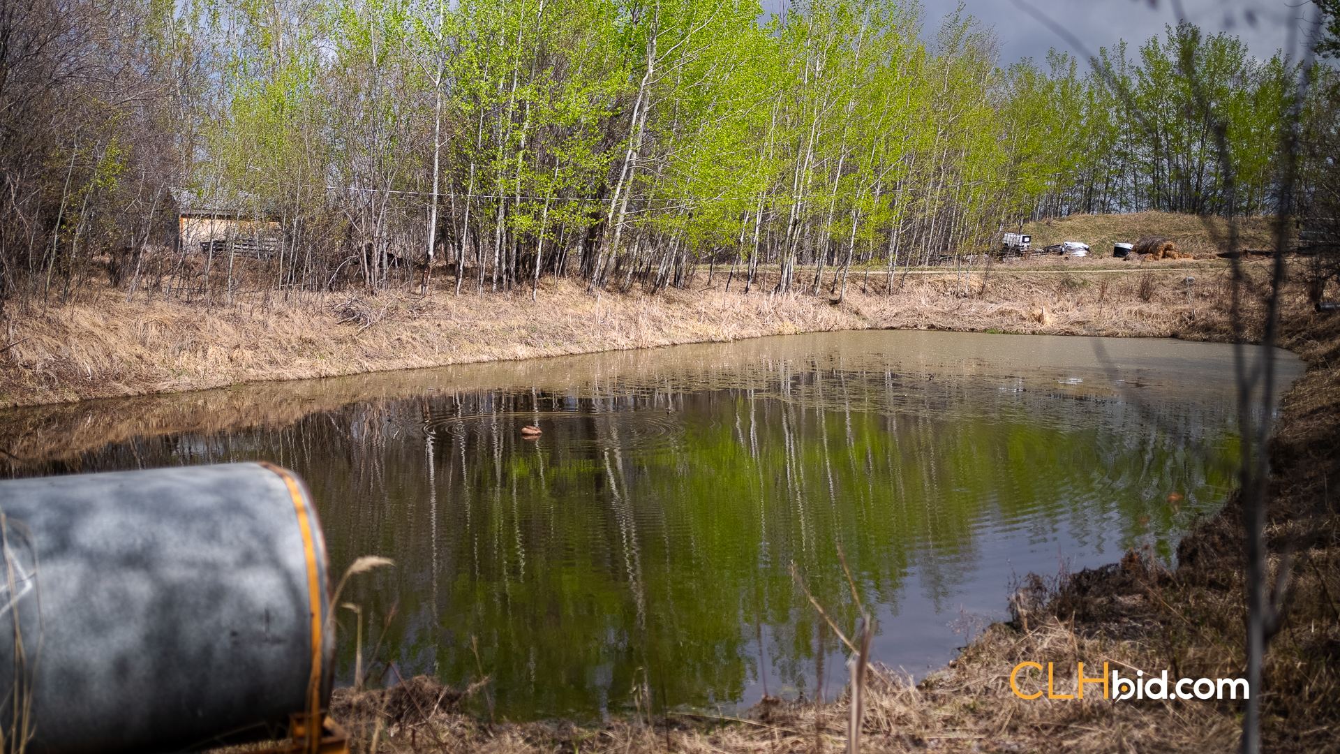 Web Deer Hill Homer Spring-23