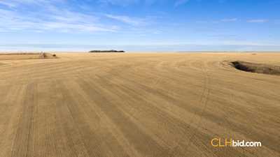 The Swift Collection - Parcel 4