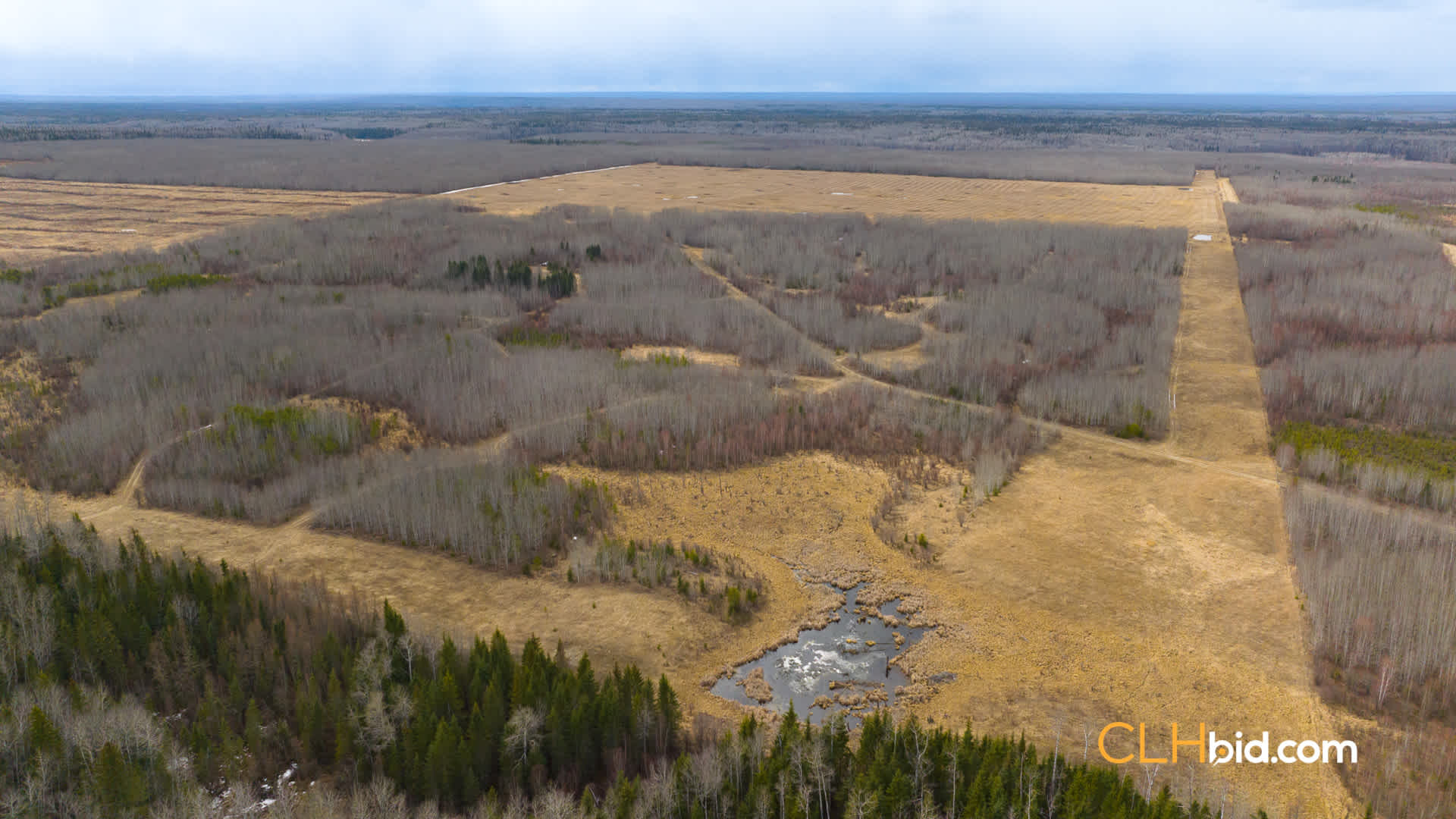 View from above of Rancher's Choice