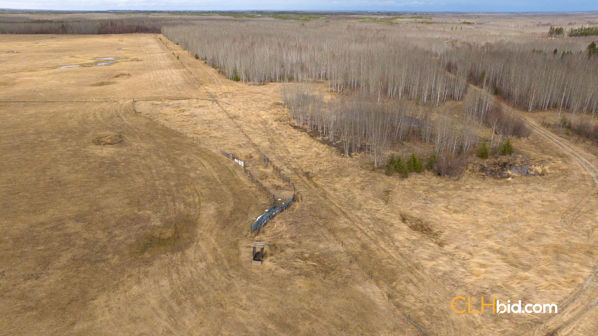 Web-RanchersChoice-9