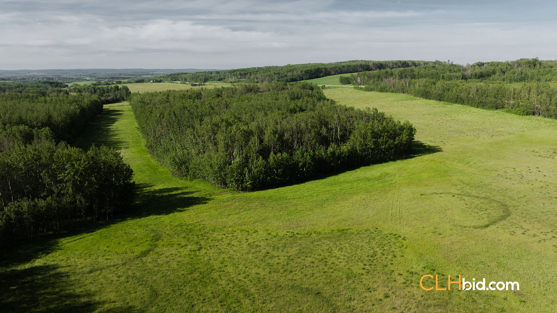 Web The Wild at Braden Rd-8