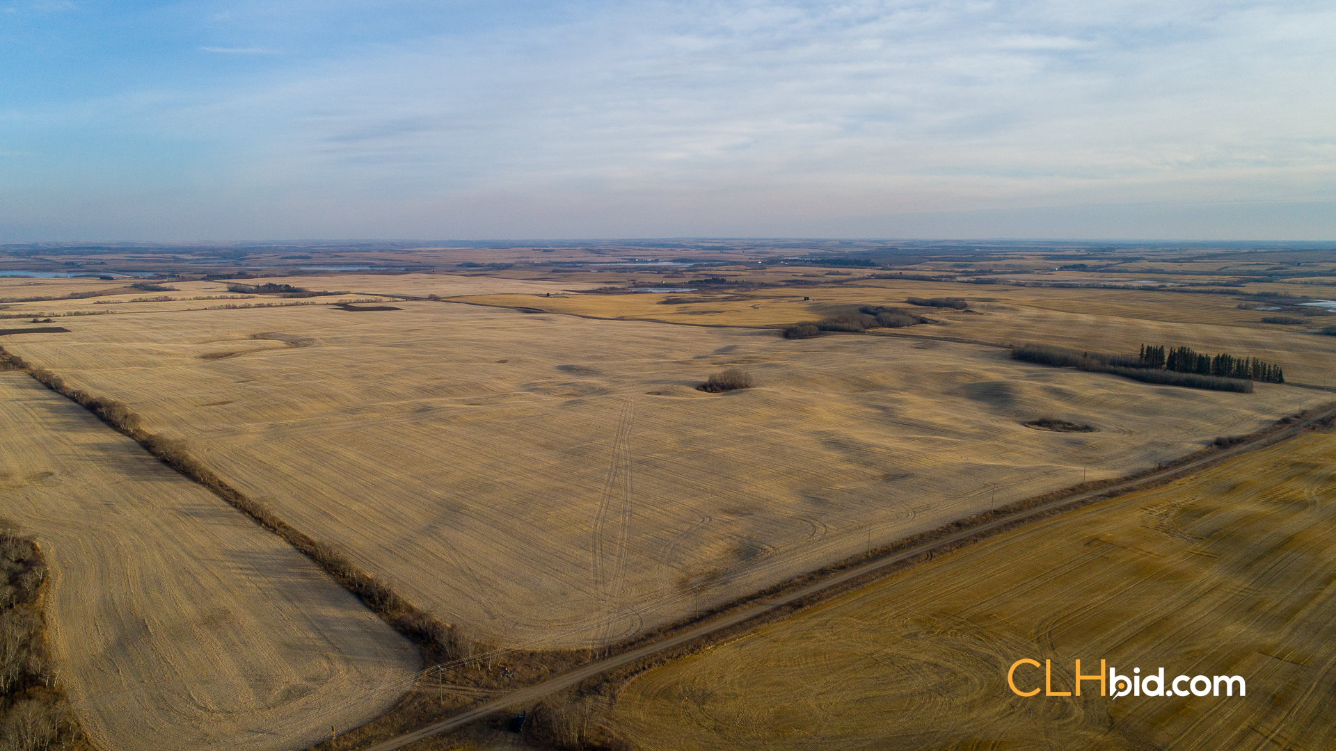 Web-Nine-Of-Diamonds-40