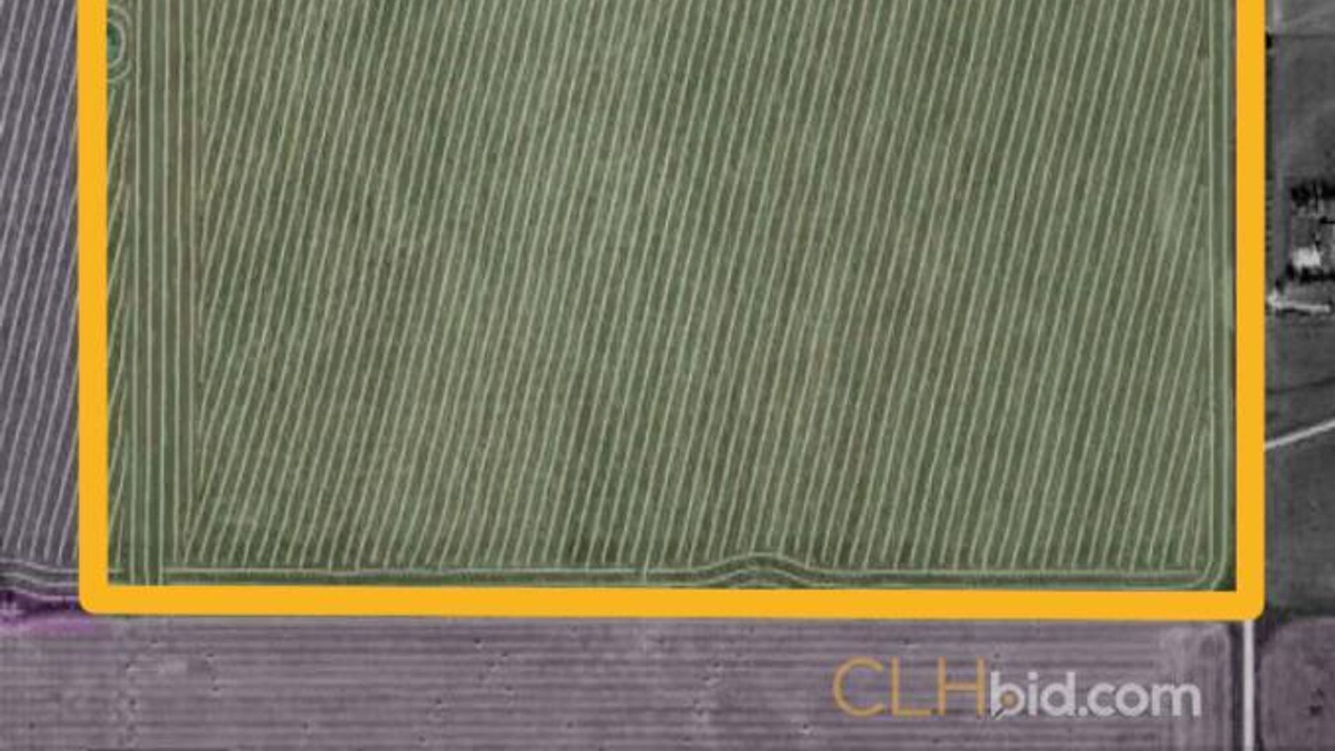 curbsideontheeconomiccorridor-5-8