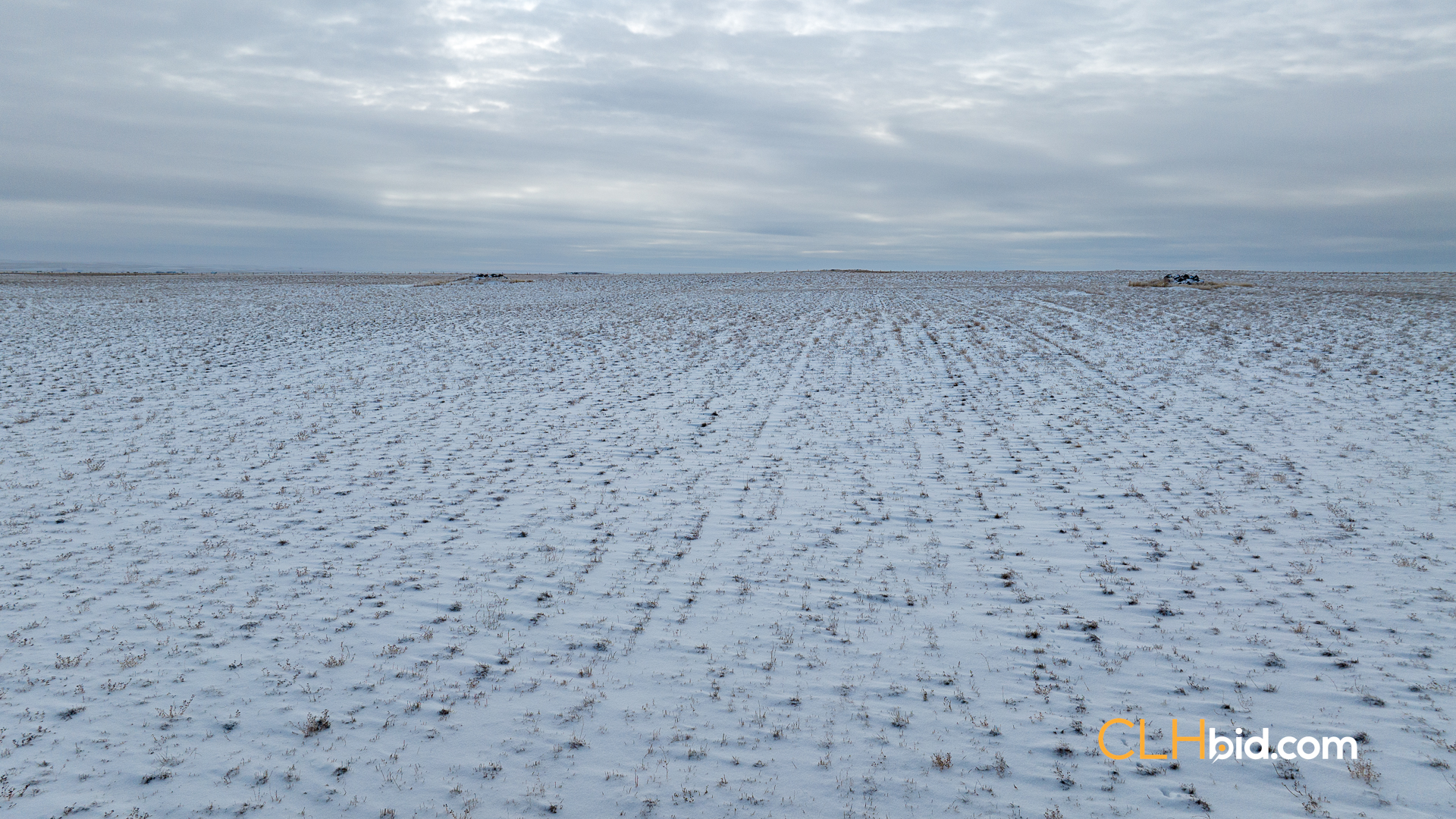 Web-Hazenmore-On-My-Mind-16