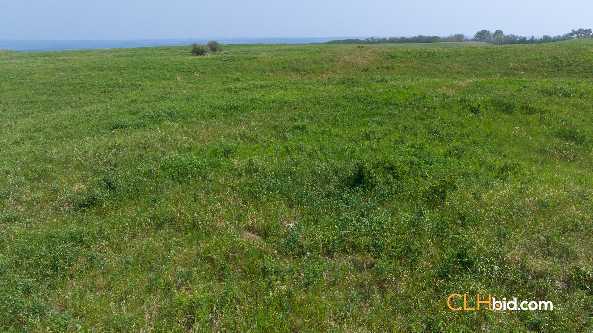 Web-Innisfree8Summer-20