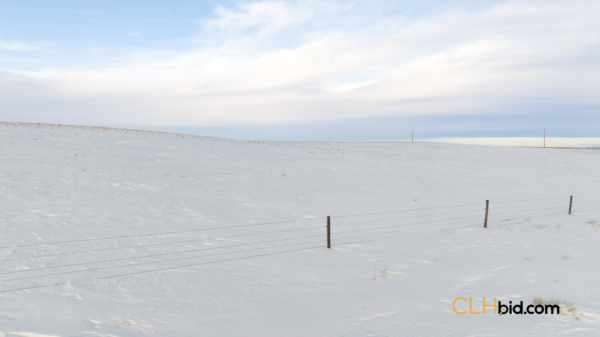 Web169-AcresOfPedigree-8