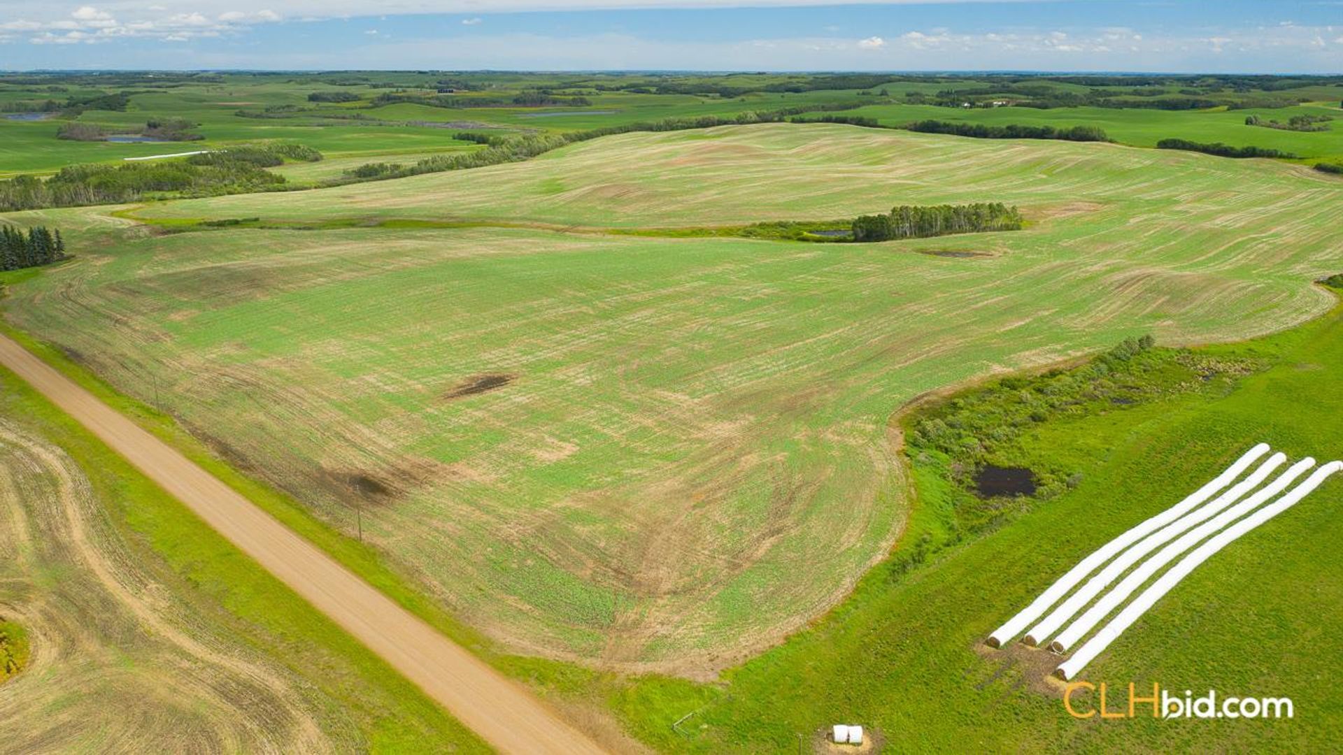 clandonaldcountrycousins-2-4