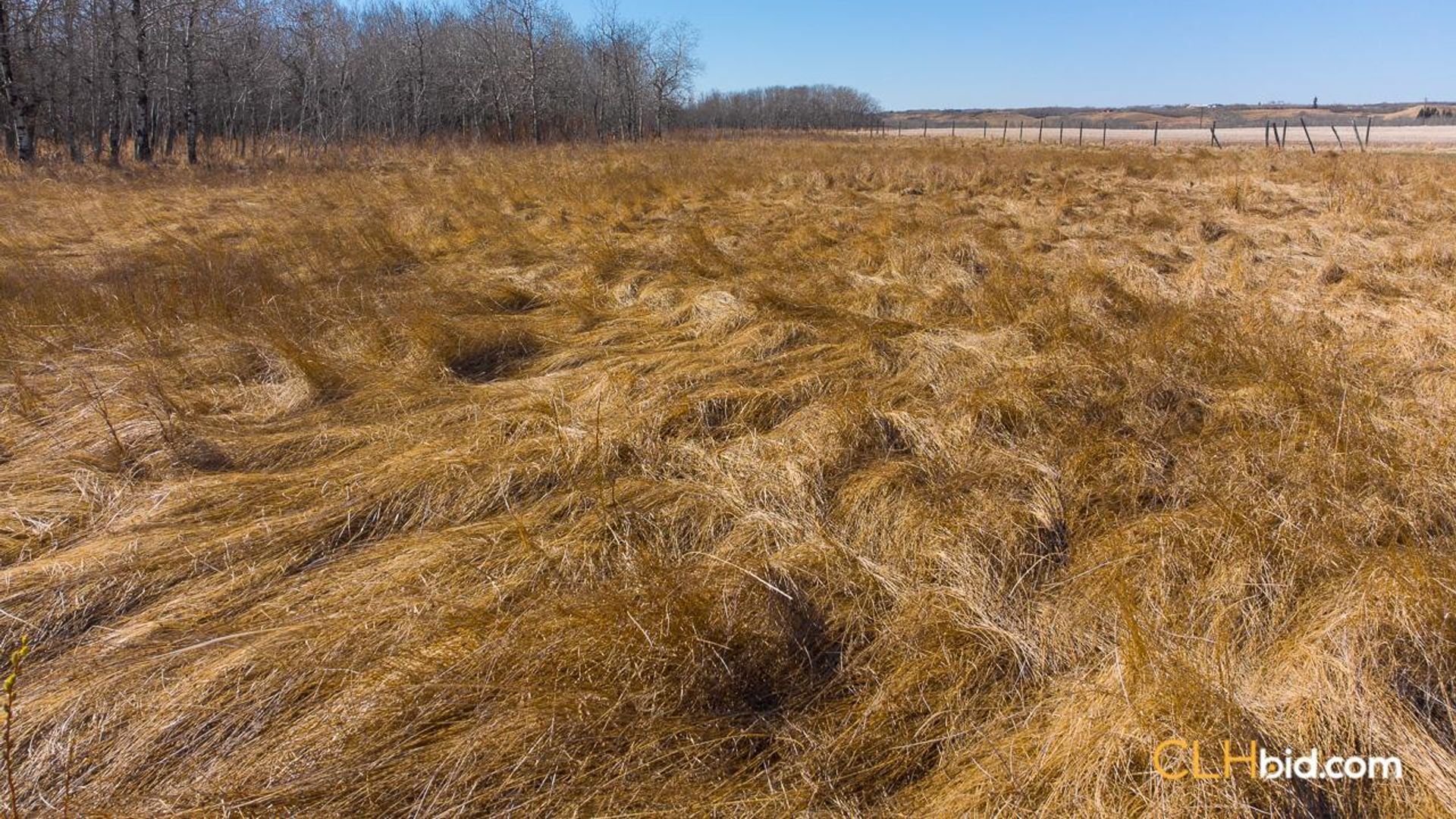 twohillsthreeopportunities-2-7