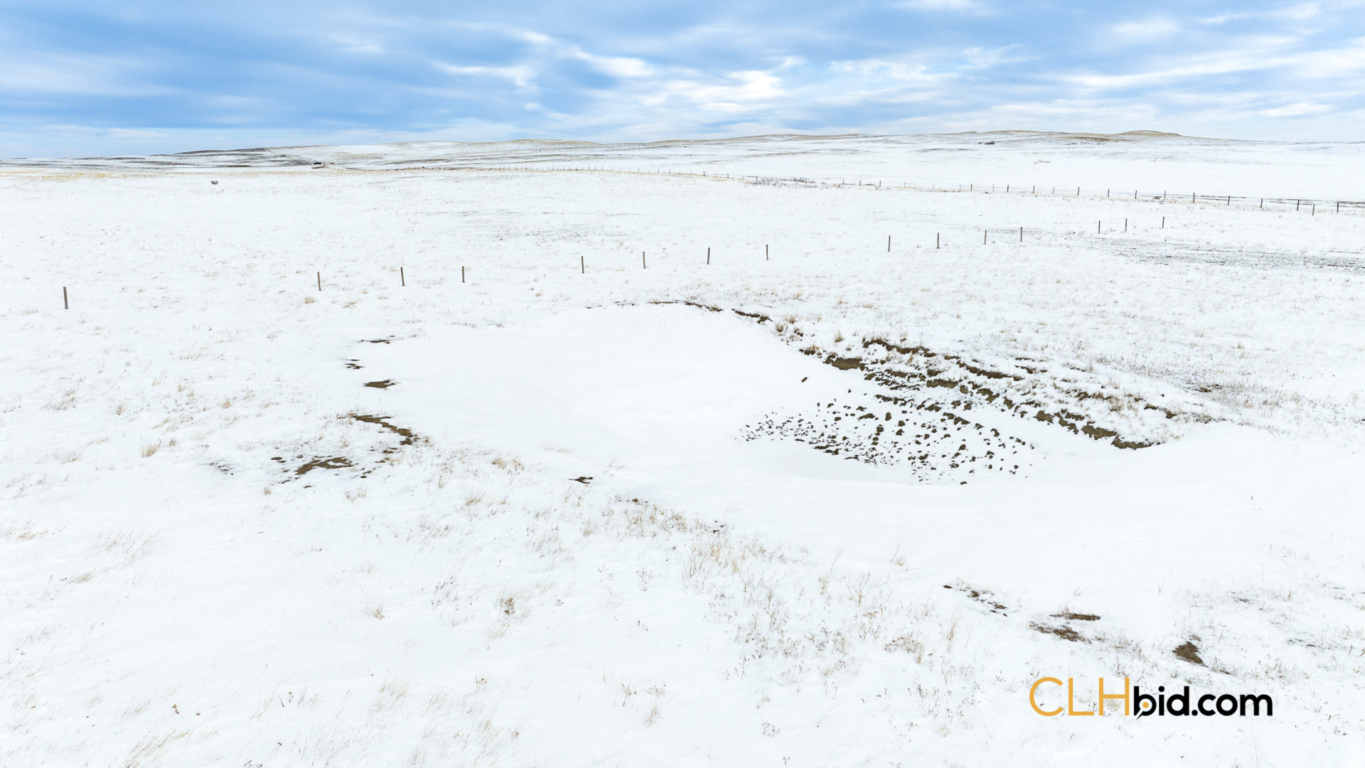 Web169-AcresOfPedigree-6