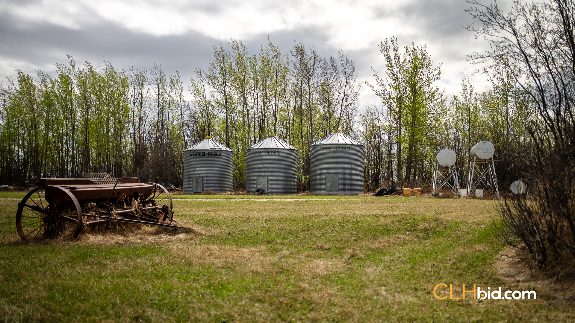 Web Deer Hill Homer Spring-24
