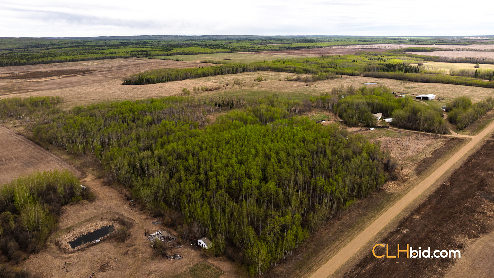 Web Deer Hill Homer Spring-18