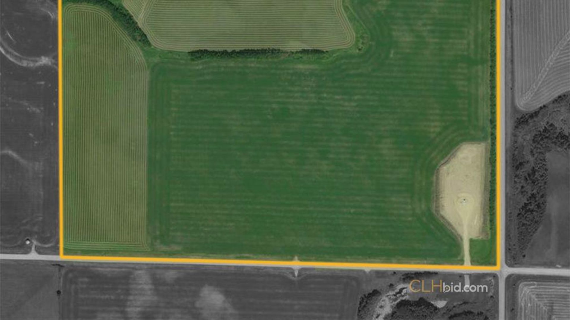 lincolnroadselect-1-11